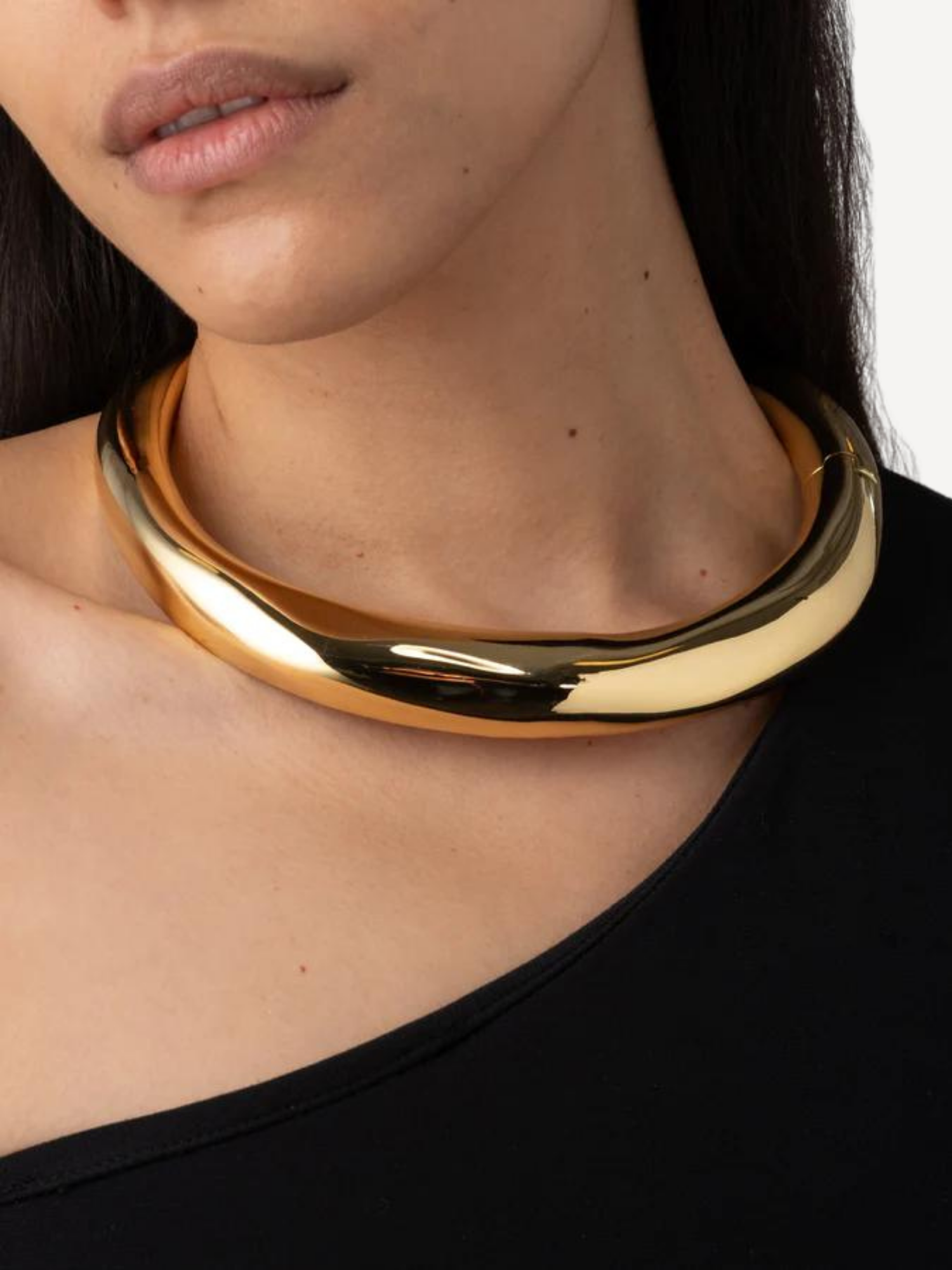 Metal Hinge Collar Necklace